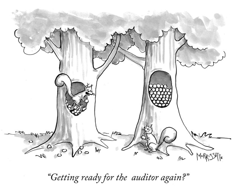 Squirrels at Tax Time cartoon | © Sarah Morrissette