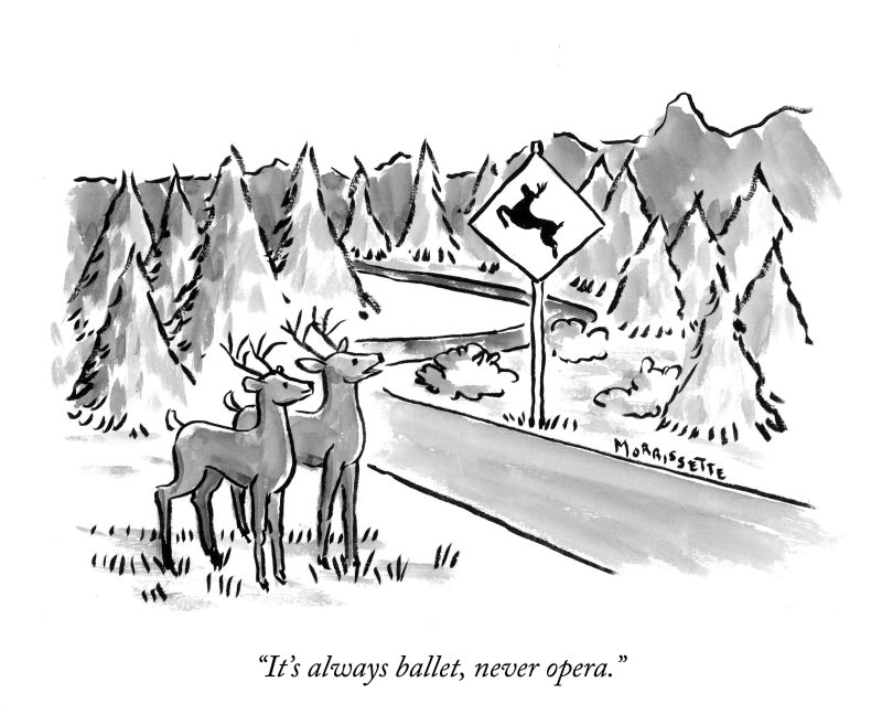 Deer Ballet road sign cartoon | © Sarah Morrissette