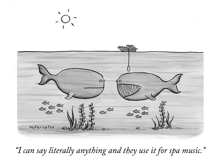 Talking whales spa music cartoon | © Sarah Morrissette